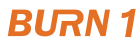 Burn1 Burn1 Logo